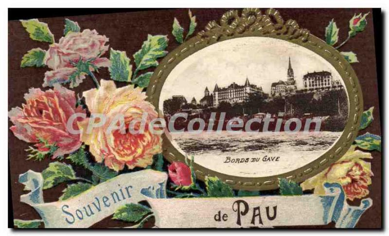 Old Postcard Souvenir De Pau