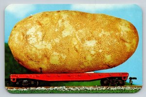 Exaggerated  Idaho  Potato    Postcard