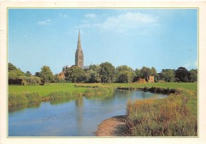 uk46458 salisbury cathedral uk