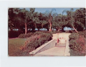 Postcard The Fountain Of Youth In Waterfront Park St. Petersburg Florida USA