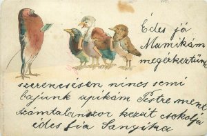 Otto Schaefer & Scheith Chromo Litho 1900 Berlin humanized drawn birds fantasy 