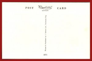 Tea Time - Blue Persian Kittens - [MX-970]