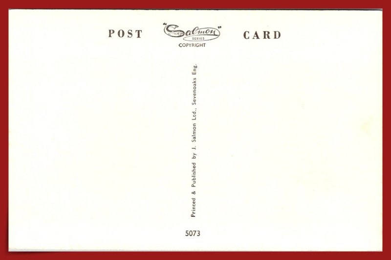 Tea Time - Blue Persian Kittens - [MX-970]