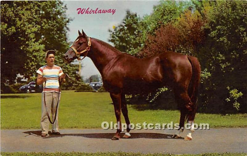 Whirlaway, KY Derby Winner Lexington, KY , USA Horse Racing Tape on back tape...