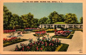 New York Buffalo Delaware Park The Rose Garden