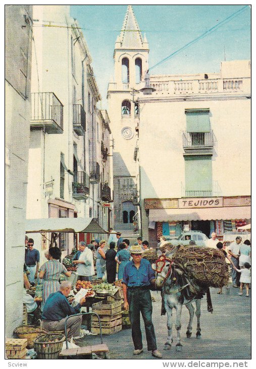 COSTA BRAVA, VIew of Market, Donkey,  PALAMOS, Spain, PU-1964