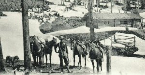 Early Salmon Idaho Postcard Hunters Camp Man w/ Horses Dogs