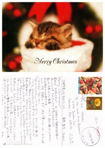 Merry Christmas(26509