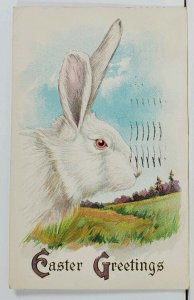 Easter Greeting Large Rabbit 1915 Milwaukee Wis Postcard L20
