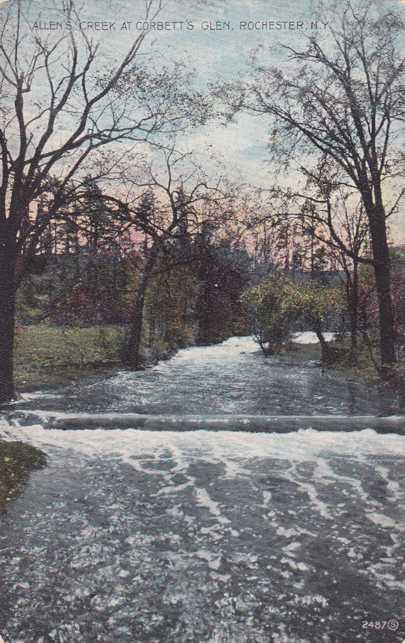 Allens Creek in Corbetts Glen - Rochester, New York - pm 1918 - DB