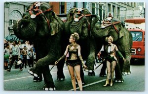 PERU, IN ~ Elephants CIRCUS CITY FESTIVAL Dorothy Kelly~Cathy McCauley Postcard