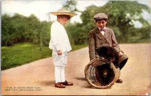 New York Zoological Park Black Bear Cubs