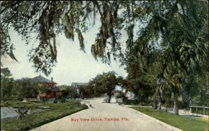 Tampa Florida FL Street Scene 1900s-1910s Postcard