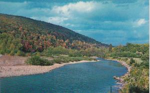 Canada Brook Pool Salmon Fishing Pool on Margaree River Nova Scotia