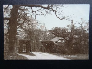 Nottingham THORESBY Buck Gate c1905 Postcard by E.T.W.D. Dainty Series