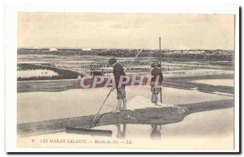 The salt marshes Old Postcard Salt harvest