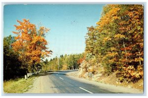 1965 Highway 41 Copper Country Trees Calumet Michigan MI Posted Vintage Postcard