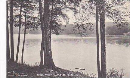 New York Oquaga Lake Albertype
