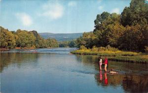 FRONT ROYAL-WARREN COUNTY-VIRGINIA~FISHING THE SHENANDOAH RIVER POSTCARD 1960s