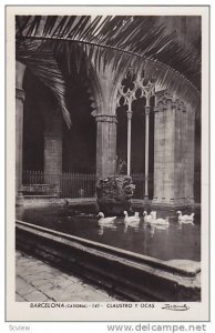 RP, Swans, Catedral, Claustro Y Ocas, Barcelona (Catalonia), Spain, 1920-1940s