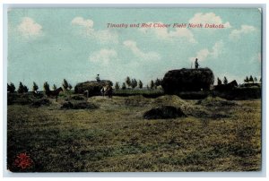 Timothy North Dakota Postcard Red Clover Field Exterior View Farming Field 1910