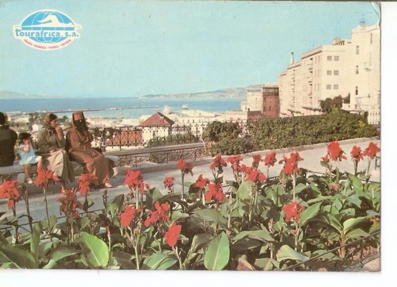 Postal 034423 : Tanger - Mirador del Boulevard