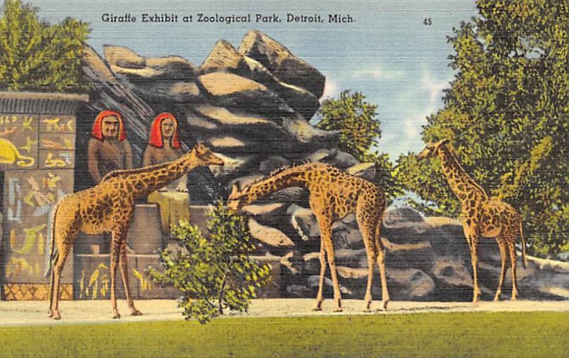 Giraffe Exhibit Giraffe Unused 