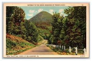 Gateway to Green Mansions Williamsport Pennsylvania PA UNP Linen Postcard Y10