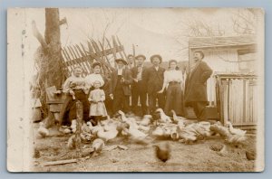 CHICKENS & DUCKS FEEDING FARMING ANTIQUE REAL PHOTO POSTCARD RPPC
