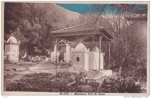 BLIDA, Algeria, 1900-1910's; Marabout Sidi EL Kebir