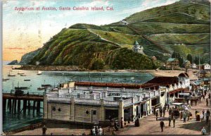 California Santa Catalina Island Aquarium At Avalon 1909