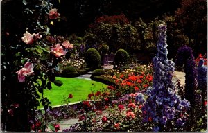 Victoria BC Canada British Columbia Butchart Gardens Delphinium Postcard VTG UNP 