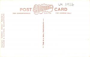 uk11977 blue pool corfe dorset   uk