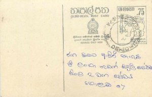 Entier Postal Stationery Postal Sri Lanka Ceylon Lion