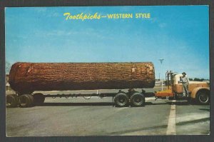 Ca 1964 PPC* GIGANTIC LOG IS CALLED A TOOTHPICK IN THE WEST MINT