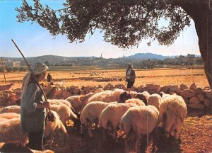 Shepherd's Field Bethlehem Israel Unused 