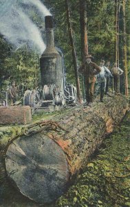 Lumberjacks Donkey Engine Logs Centralia WA c1910 P164