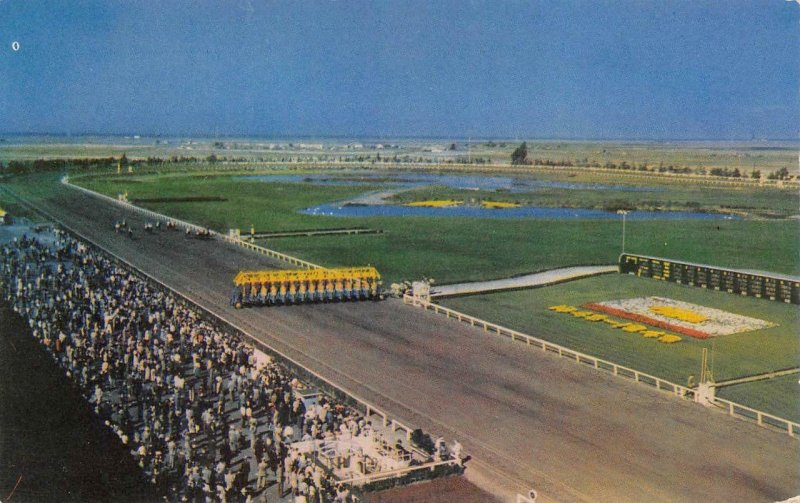 BAY MEADOWS RACE TRACK San Mateo, CA Horse Racing c1950s Vintage Postcard 