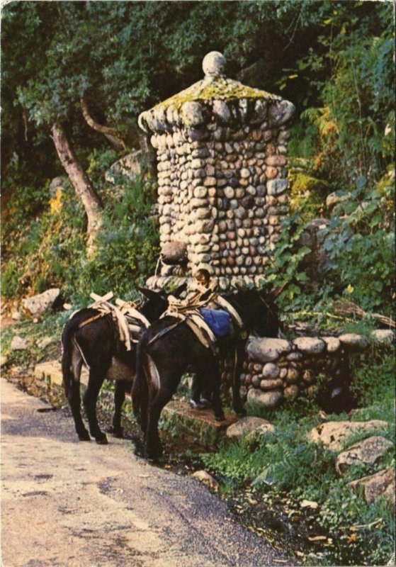 CPM Route de Piana a Porto - La Fontaine CORSICA (1087896)