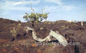 Craters of the Moon National Monument, ID       ;      Craters of the Moon Na...