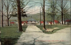 Olean New York NY Oak Lawn Park Band Stand c1910 Vintage Postcard