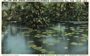 Vintage Postcard 1920's Botanical Tropical Lagunita San Diego Panama California