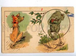 189884 CIRCUS Penny-farthing ELEPHANT bicycle Vintage LITHO PC