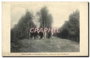 Old Postcard Saint-Léger-en-Yvelines Avenue du Chalet des Bruyeres