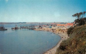 BODEGA BAY Fishing Boats At Pier Sonoma County, CA c1950s Vintage Postcard