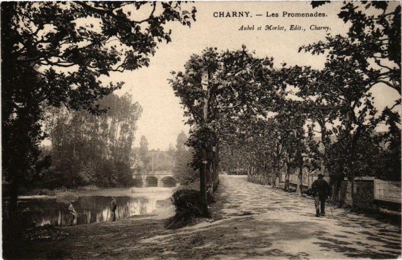 CPA Charny - Les Promenades FRANCE (960664)