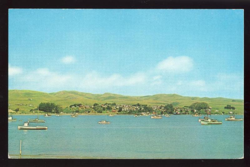 San Francisco, Calif/CA Postcard, Bodega Bay/Highway #1