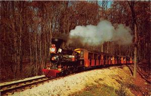 Milwaukee WI Model Railroad RR Engine at County Zoo Postcard