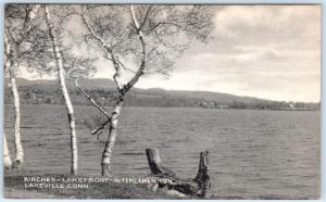 LAKEVILLE, Connecticut CT   Birches LAKEFRONT - INTERLAKEN INN  Postcard