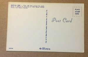 VINTAGE UNUSED POSTCARD  BANYAN TREE FORT MYERS FLA
